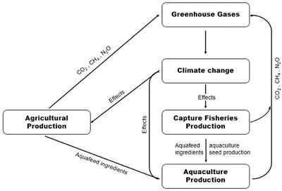 Climate Change Effects on Aquaculture Production: Sustainability Implications, Mitigation, and Adaptations